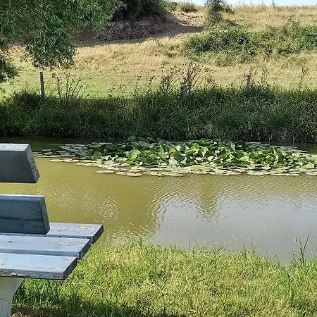 Des Etangs